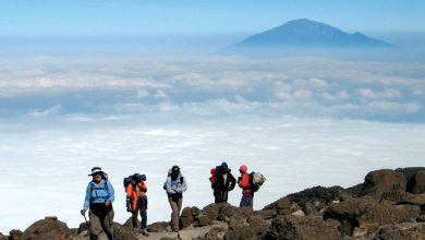 How Much Does It Cost To Climb Kilimanjaro
