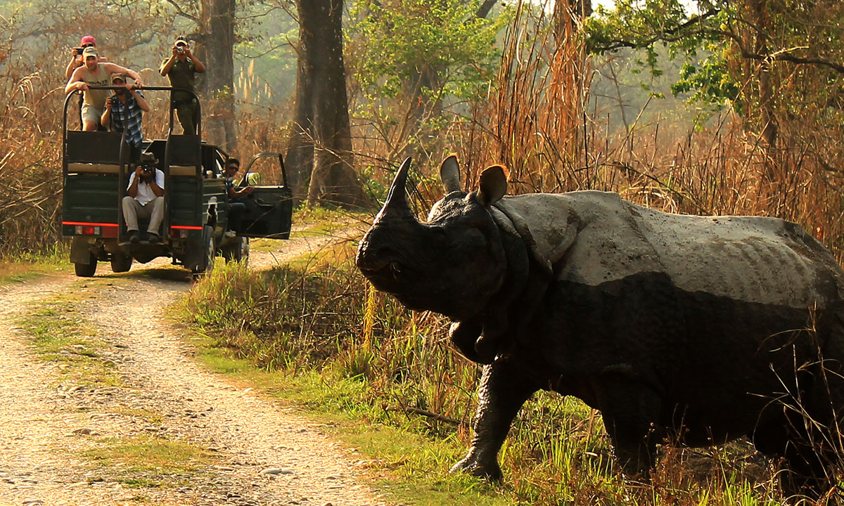 Nepal is the home to the rarest and most beautiful wildlife
