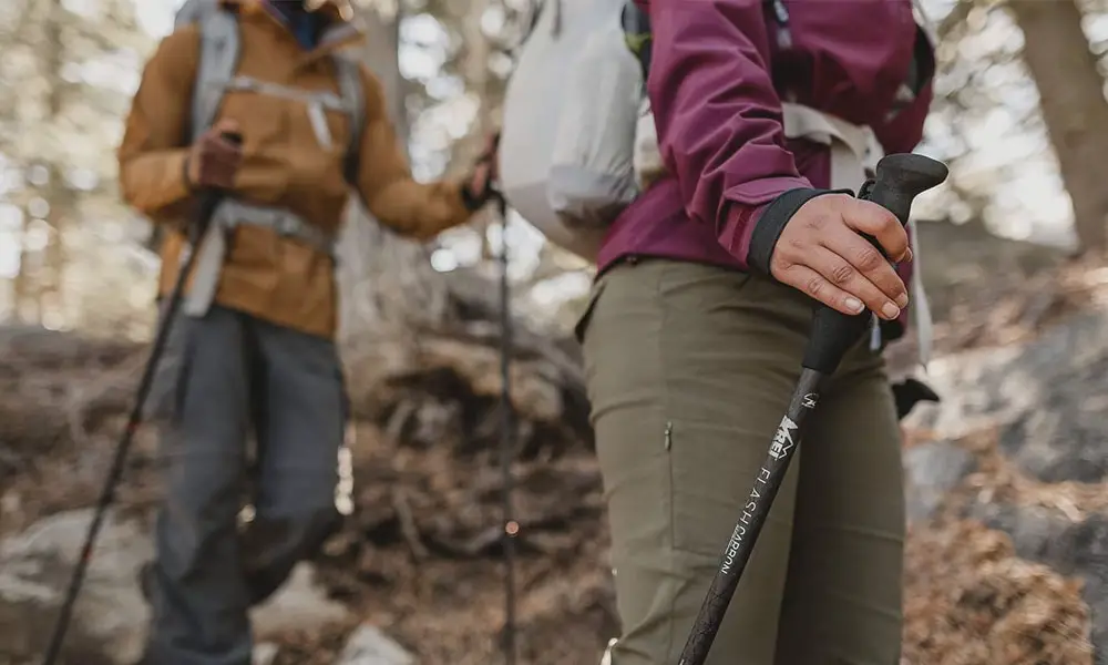 What is the difference between trekking poles and hiking poles
