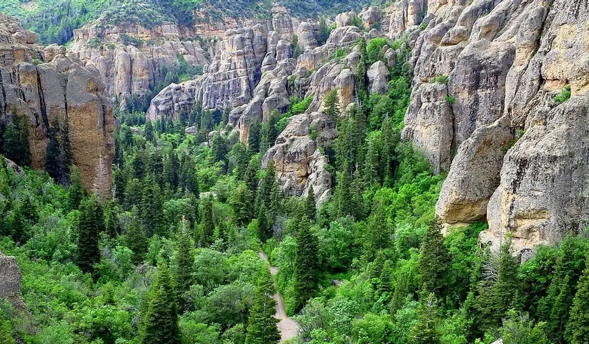 Maple Canyon World-Class Climbing Destination With 550+ Routes